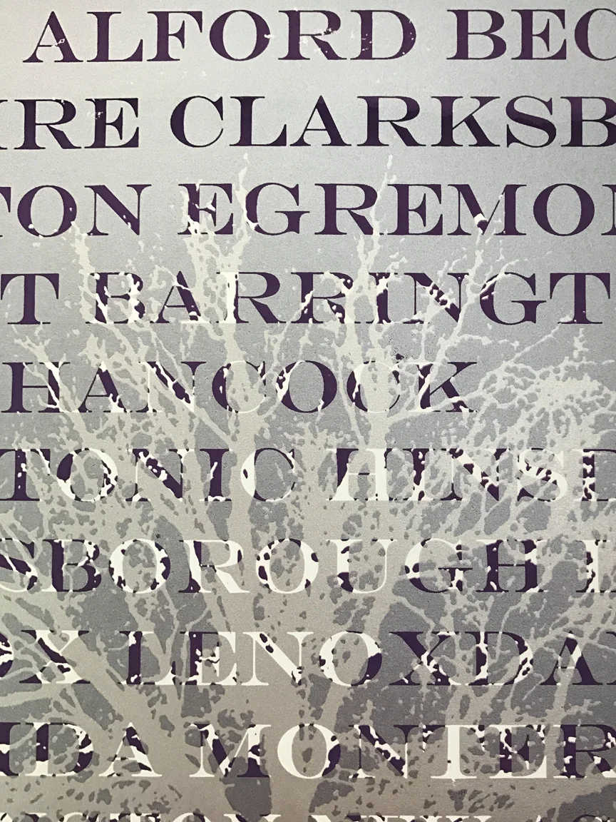 town+names+detail+purple.jpg?